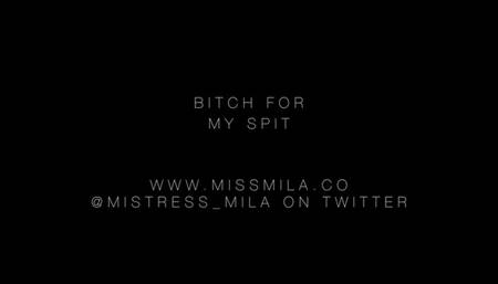 Bitch for My Spit