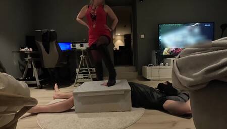 French Perverse takes care of her submissive on the cockbox. Crushing his cock and pissing in his mouth