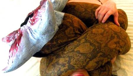 Predatory 13: Wrangled! (starring Darian) (MP4)