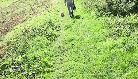 Dirty girl and her boyfriend are having sex in the woods