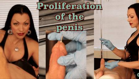Proliferation of the Penis