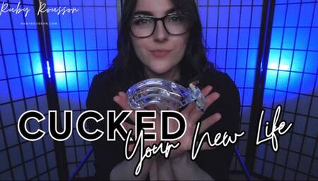 Cucked, Your New Life