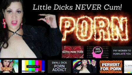 Little Dick Pornoholic Humiliation (no music)