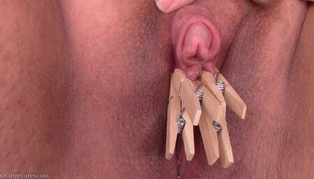 clothespin for each ruined orgasm (720 wmv)