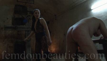 ANNA CONDA - TODAY YOU GET THE CUDGEL