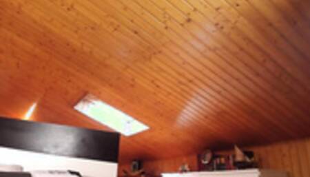 wildtequilla 2018/05/27