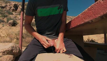 Jerking off on a picnic table