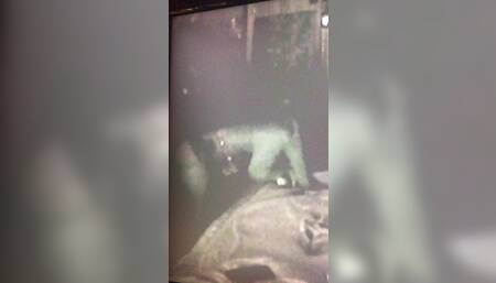 cute asss fuck on this philly nigger girl :) hooker