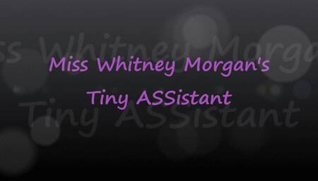 Miss Whitney Morgan’s Tiny ASSistant - wmv
