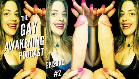 The Gay Awakening Podcast Episode #2