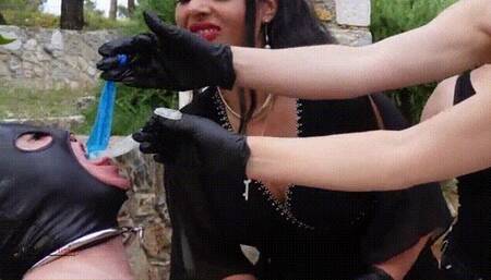 Butt fuck cuck bitch (HD)