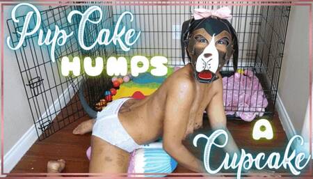 PupCake Humps A Cupcake - PETPLAY PULLUP PILLOW HUMPING IN 1080
