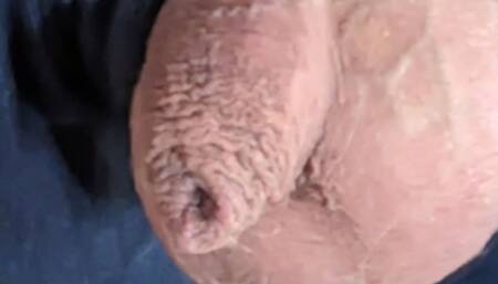 My cock - piss and squeeze