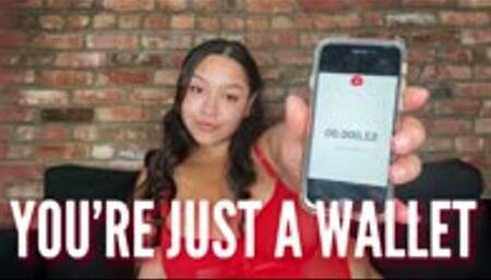 You're Just A Wallet: FinDom Humiliation