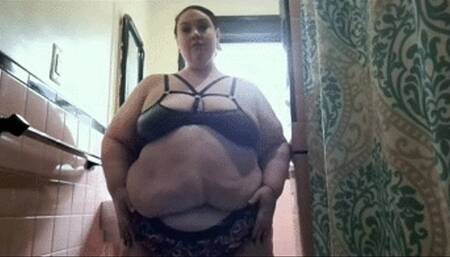 Too Fat for My Bathroom