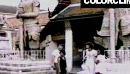 Escort's travelling video by Color Climax