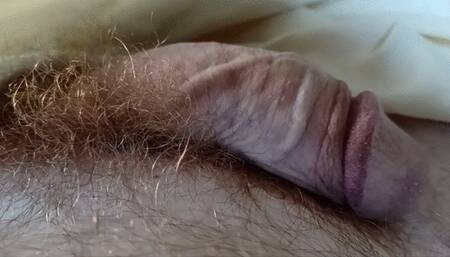 Watch the COCK grow make precum and cum big by Hairyartist
