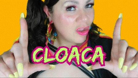 CLOACA