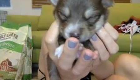 Hopelessmfc mar 19 2020