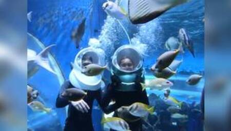 Perfect ass Thai girlfriend sex at home after a day of playing with fish