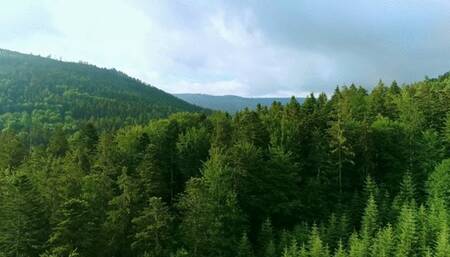 baby boy out for a stroll comforting AUDIO