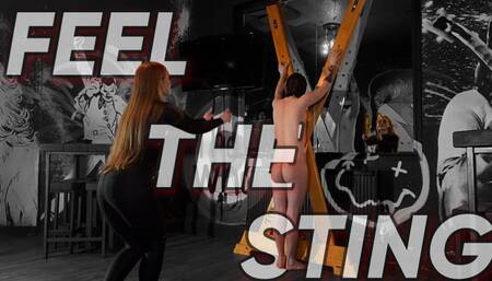 FEEL THE STING (1080p)