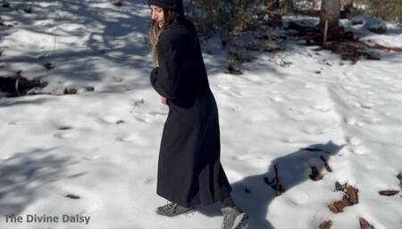 Daisy bound to tree and deserted in snow