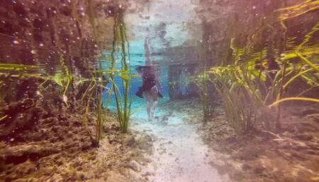 Carissa in Sheer Black Dress in the Spring set to music