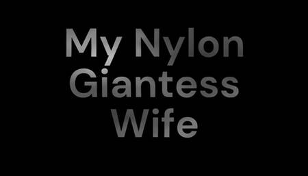 Cinnamon Bear Squish