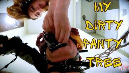 My Dirty Panty Tree (HD 1080P MP4)