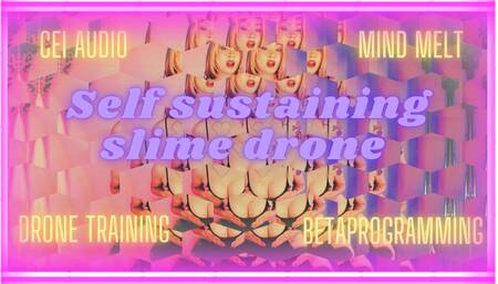 Self Sustaining Slime Machine, Audio, Drone Training