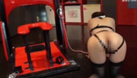 首輪で繋がれ、四つん這いで犬のように床を歩かされました。それだけで、もう心も体も濡れてしまいます…マゾの自分のありようにうっとりします。お尻を振るとご主人様の視線を感じて、いってしまいそうになりました