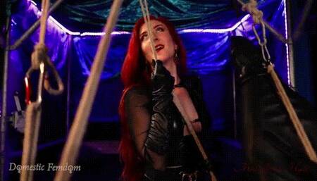 Predicament Bondage: Teamwork