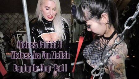 Pegging the Gimp with Mistress Ava Von Medisin - Part 1 720p
