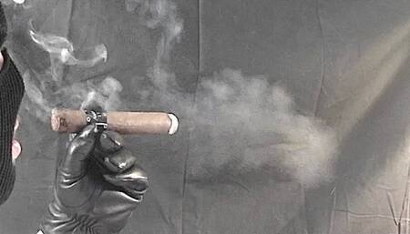 Smoking A Fat Asylum 13 Hercule Cigar