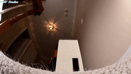 ACG STOMPS tiny homes FLAT! Part 3 - MP44