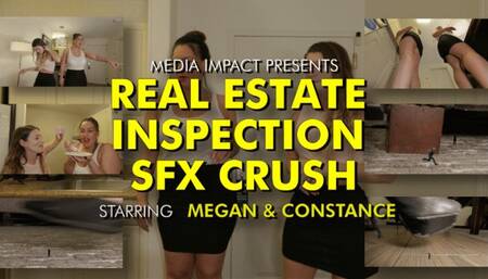 Real Estate Inspection SFX Crush