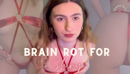 Brain Rot for Shiny