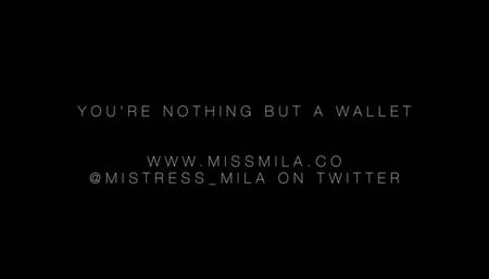 You're nothing but a wallet