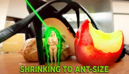 Shrinking to tiny bug size