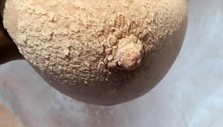 Powder and slap my tits