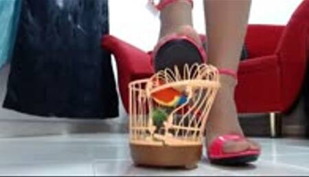 crushing a toy bird and his cage in 1000 pieces with 2 heels and nylons