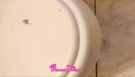 Revolting Toilet Ripoff