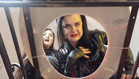 You are in the toilet and we like to play with you