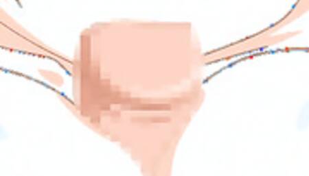 Chu Shite Agechau: Oshikake Onee-san no Seikou Chiryou