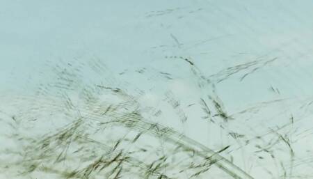 Playboy TV Latin America - Racing Curves Ep07