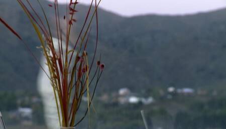 Playboy TV Latin America - Racing Curves Ep04