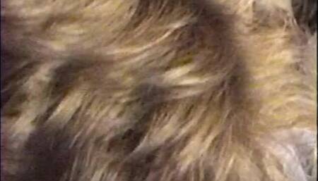 GAYLE SUCKING HIS COCK AND CUM