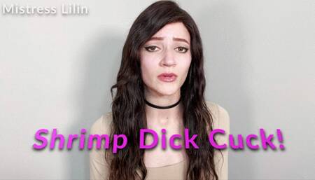 Shrimp Dick Cuck Humiliation JOI