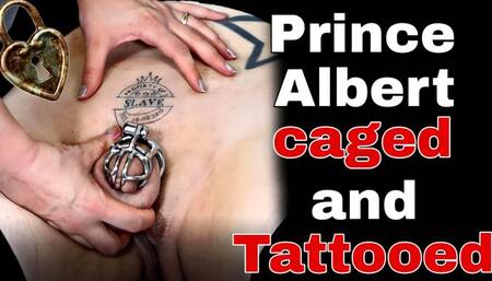 Rigid Chastity Cage Permanent Device Demo with Slave Tattoo Prince Albert Piercing Femdom FLR Real Couple